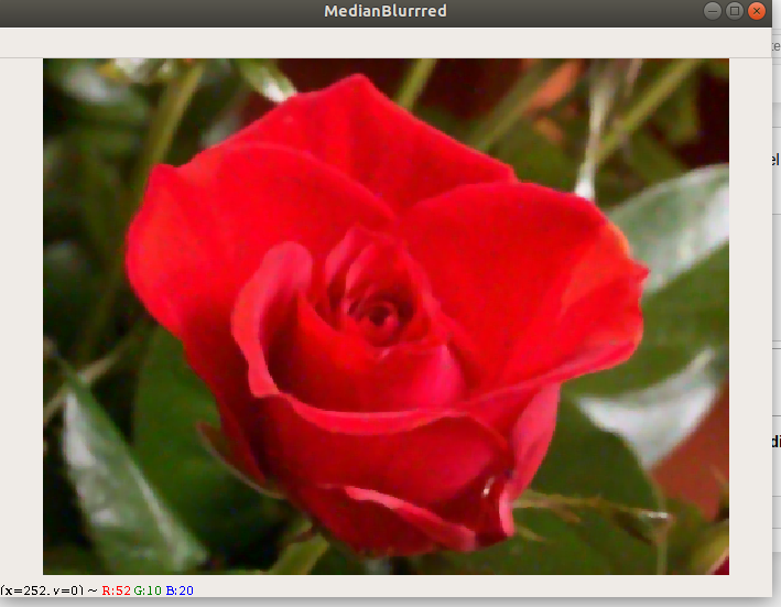 Result of Median Filter with cv2.medianBlur()