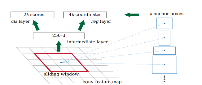 Faster - RCNN -2