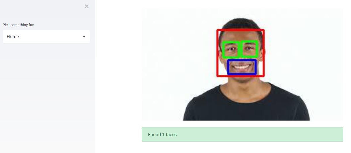 Build Machine Learning Web App with Streamlit and Python - Output
