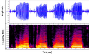 Speech Recognition Python Project Source Code