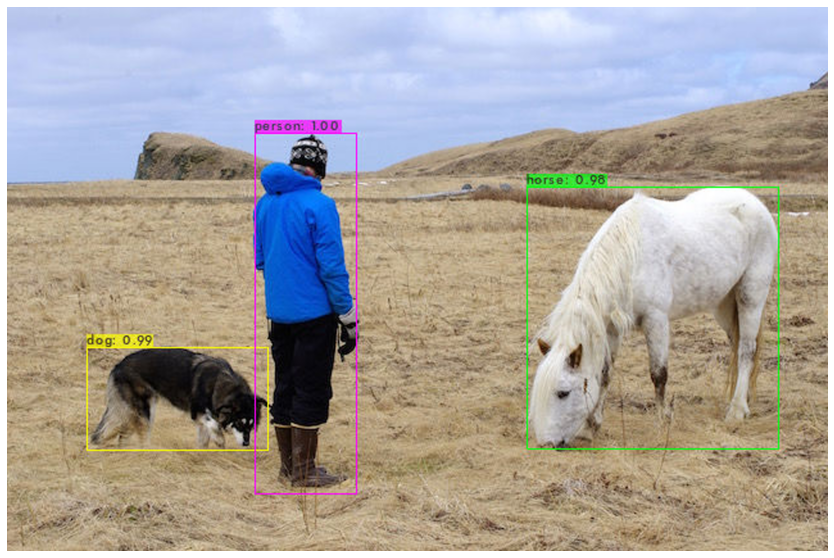 YOLOv4 object detection tutorial on Image