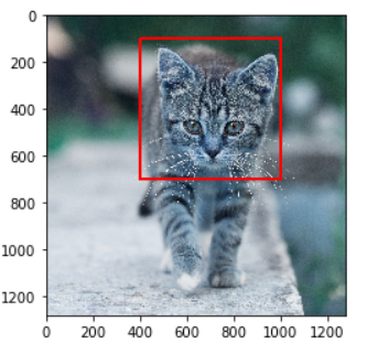Example of Rectangle in OpenCV Python