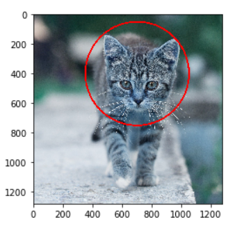 Example of Circle in OpenCV Python