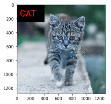 Example of text in background color in cv2.putText()