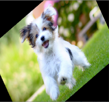 Rotate Image by Angle in Python OpenCV imutil.rotate()