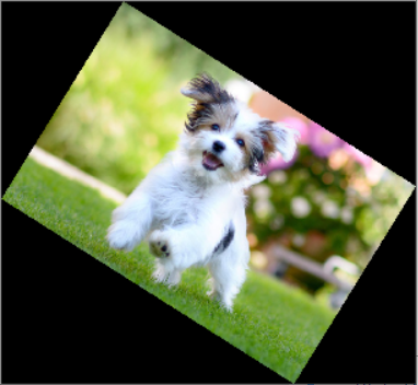 Rotate Image by Angle in Python OpenCV imutil.rotate_bound()