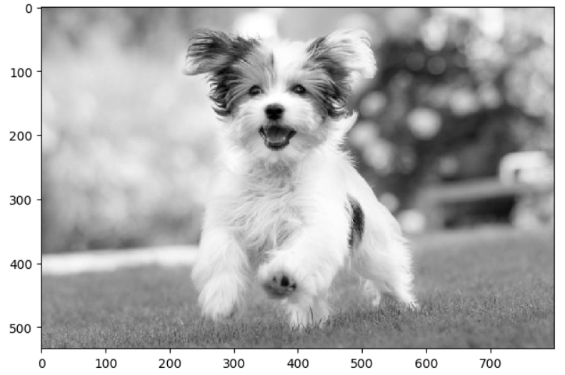 convert image to grayscale python