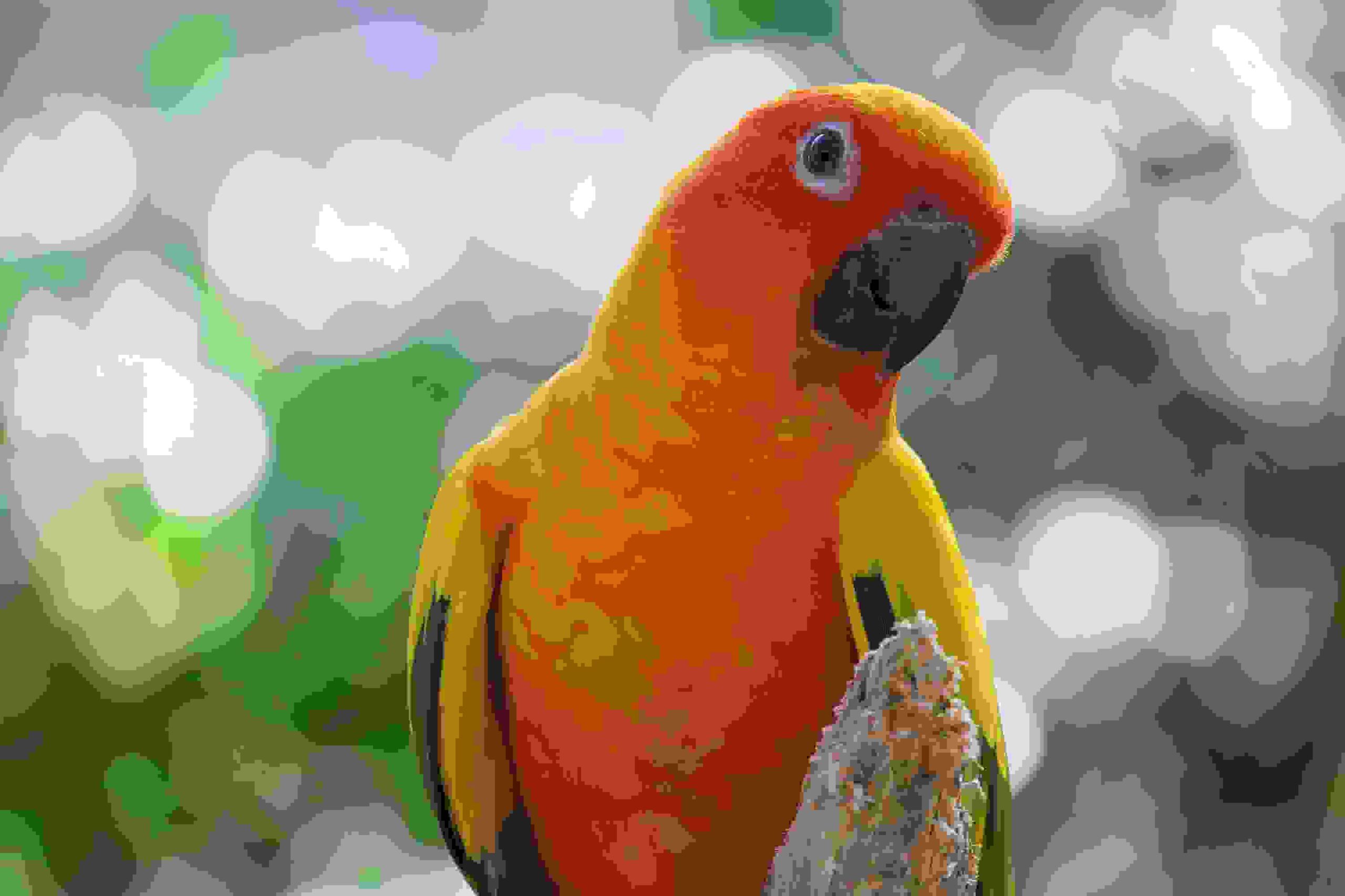 cv2 imwrite example of cv2.IMWRITE_JPEG_QUALITY
