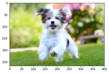 cv2 resize() Example - Reduce Image to Half