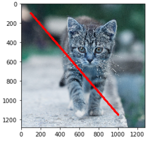 OpenCV cv2.line() example - 3