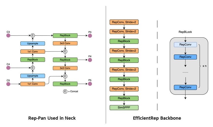 YOLOv6 Neck and Backbone Architecture