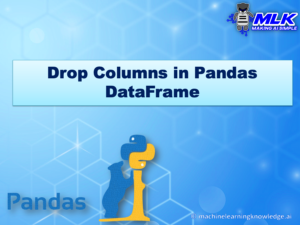 Ways to Drop Column in Pandas DataFrame