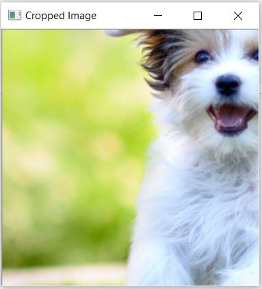 Image Cropping Python OpenCV