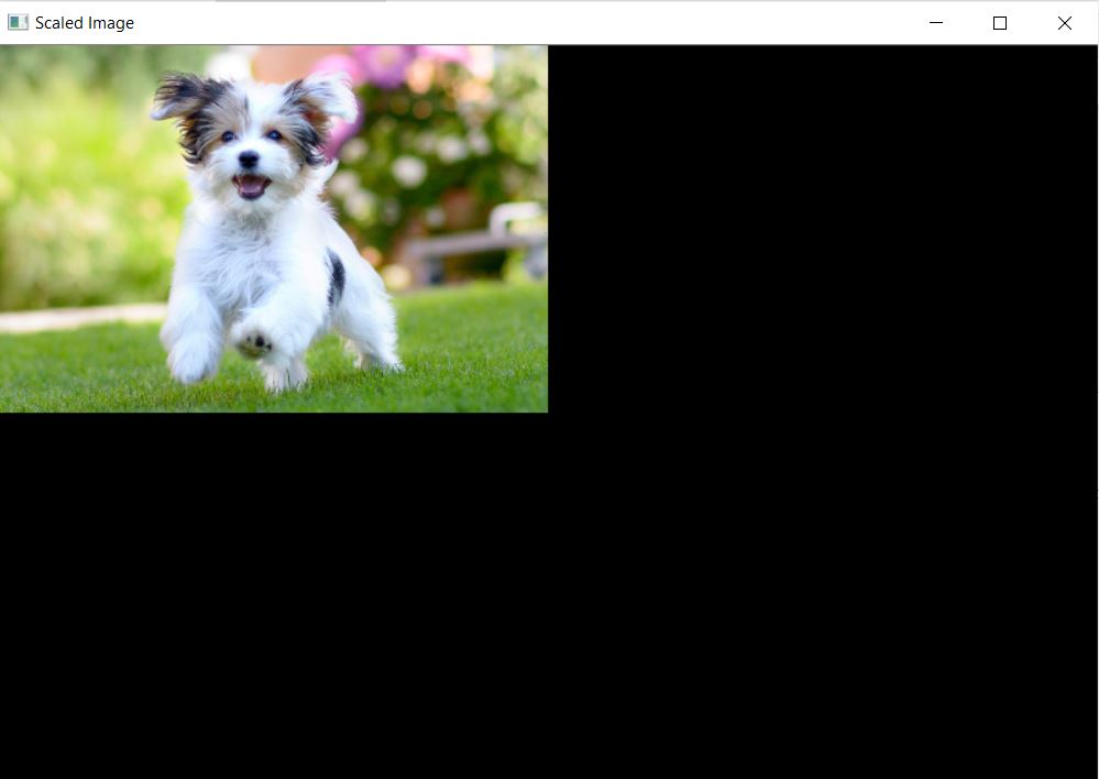 OpenCV warpAffine scaling