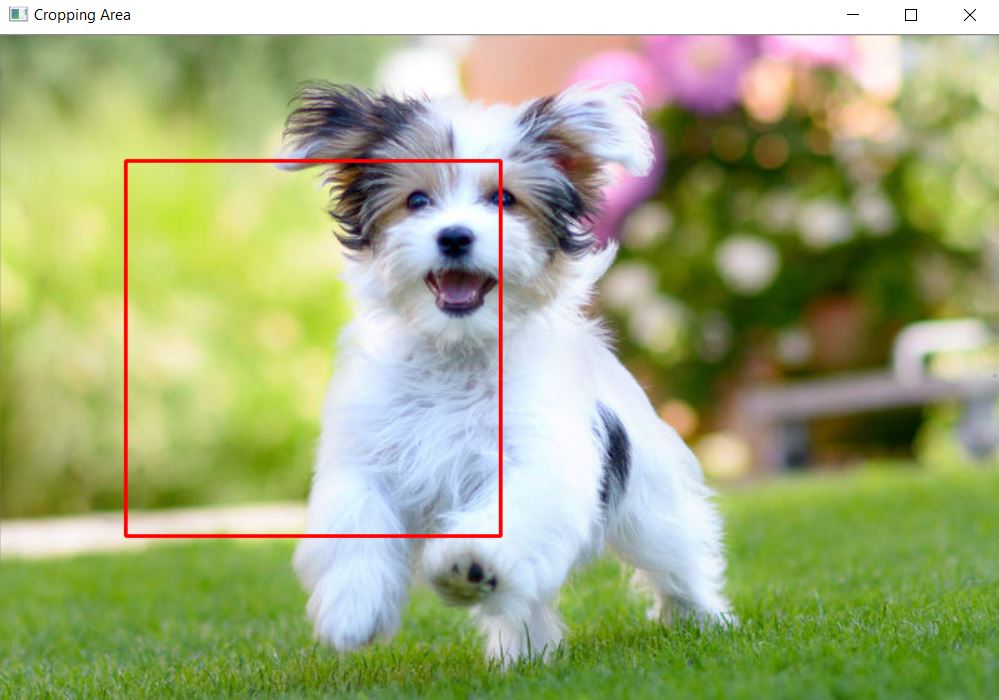 cropping example python